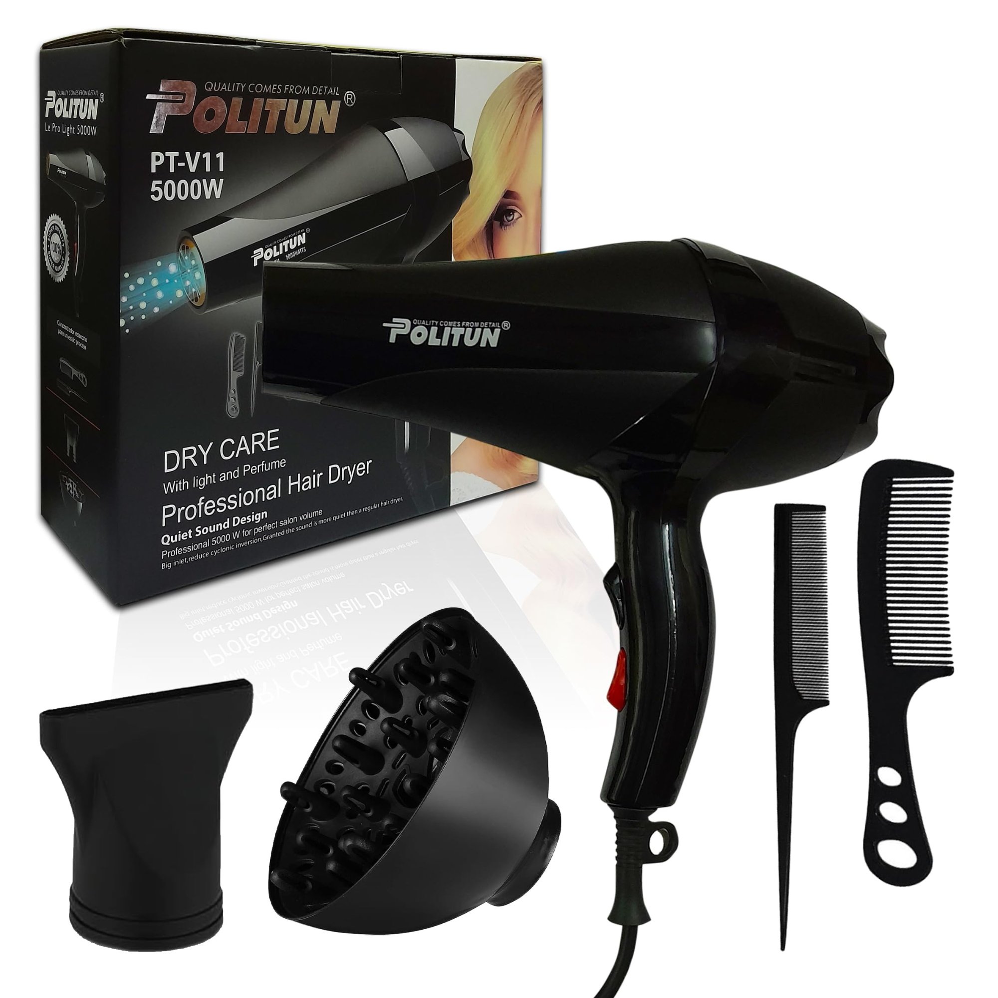 Politun Salon Hair Blower Black 5000W SS