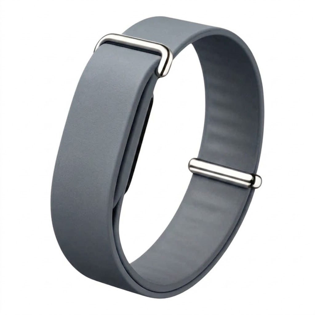 Loop Fitbit Air Silicon Strap/ Grey